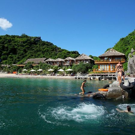 ホテルモンキー アイランド リゾート カットバ島 エクステリア 写真