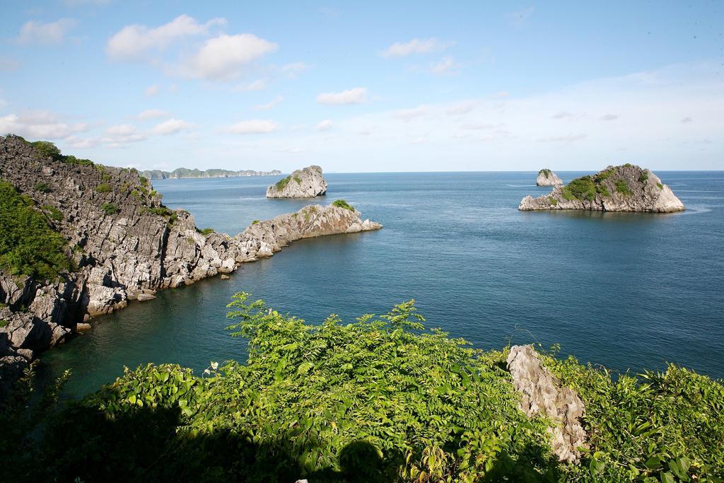 ホテルモンキー アイランド リゾート カットバ島 エクステリア 写真