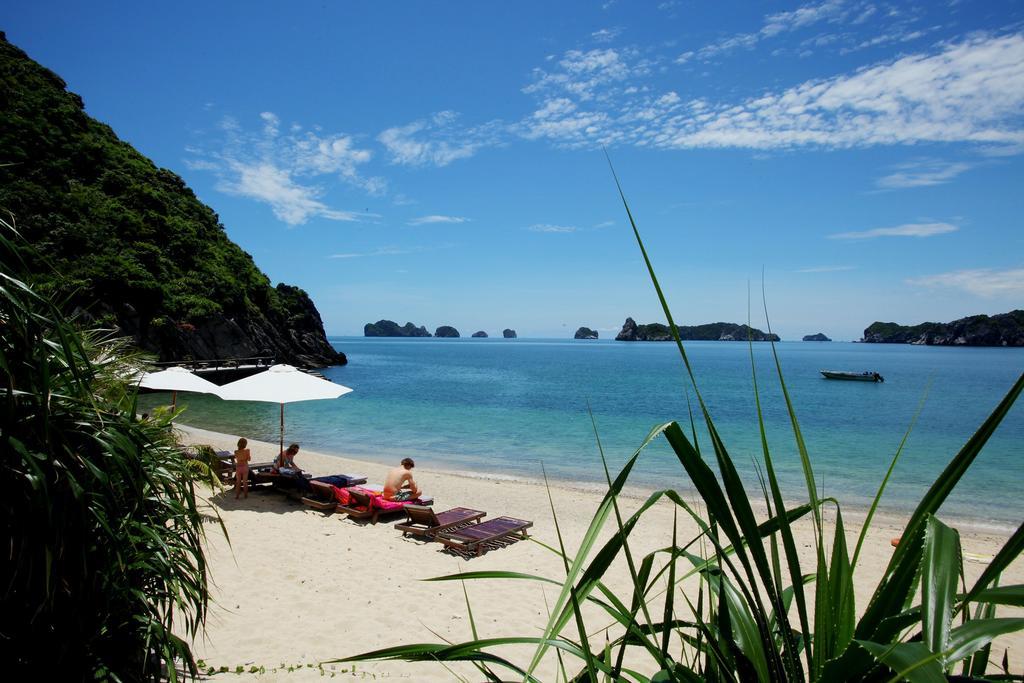 ホテルモンキー アイランド リゾート カットバ島 エクステリア 写真